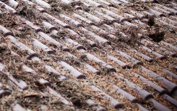 North Waltham roof cleaning companies