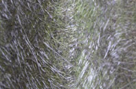 North Waltham fibreglass roof work